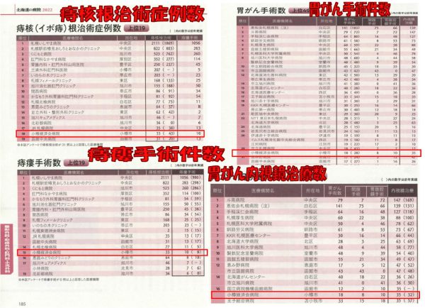 北海道の病院2022～病気別手術数ランキングv