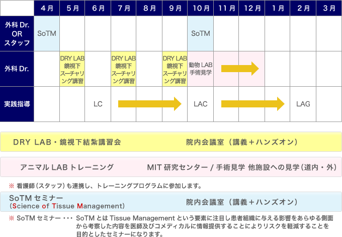 内視鏡外科トレーニングの定型化